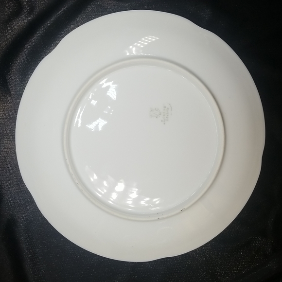 Antique J & C Louise Bavaria Apple Plate - Picture 3 of 14